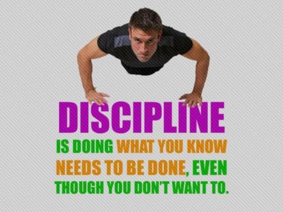 discipline
